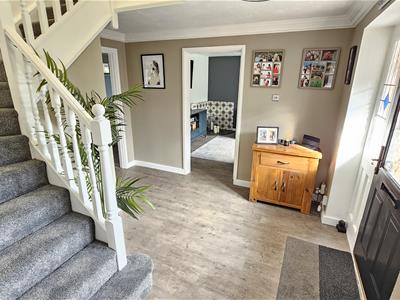 Picture 23